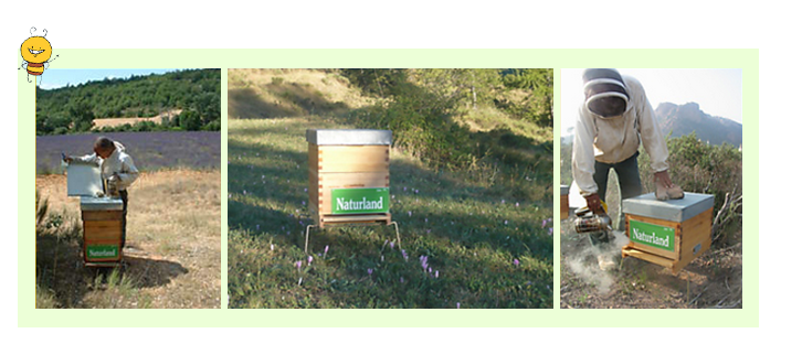 Naturland soutient Un toit pour les abeilles